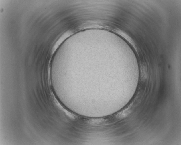 X0000069391290200606021622