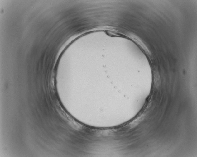 X0000069391292200606021622