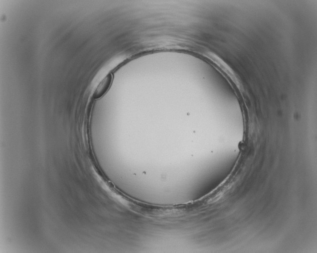 X0000069391293200606021622