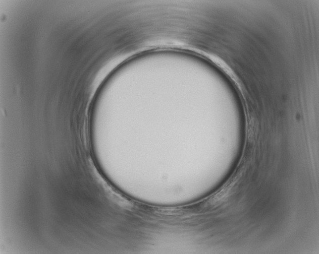 X0000069391295200606021622