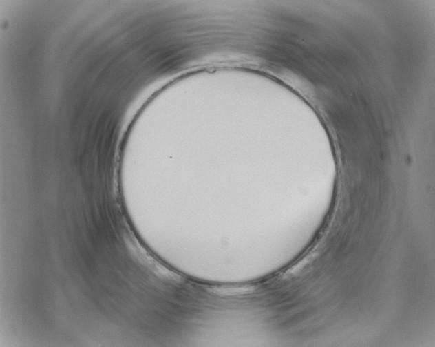 X0000069391296200606021622