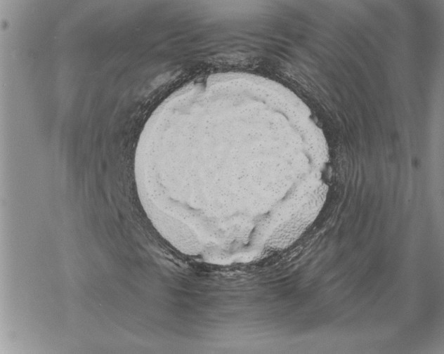 X0000069391297200606021621