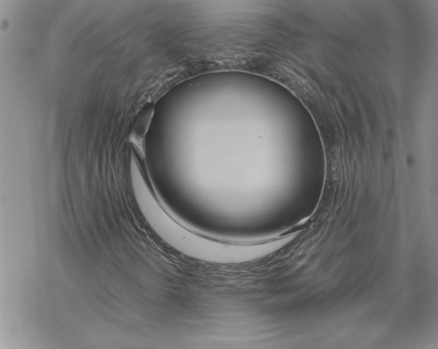 X0000069391298200606021621