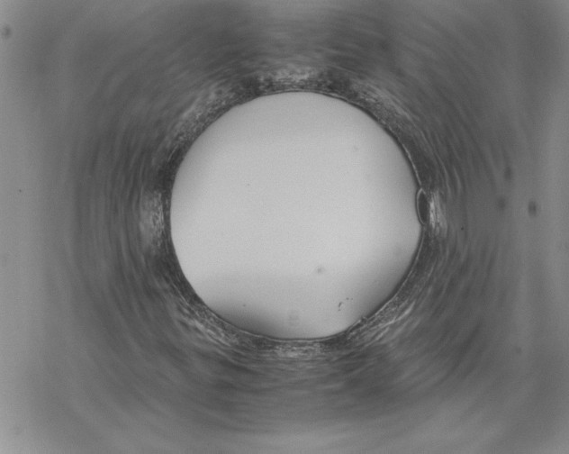 X0000069391299200606021621