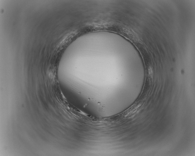 X0000069391300200606021622