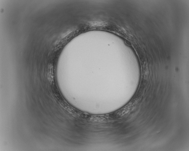 X0000069391301200606021622