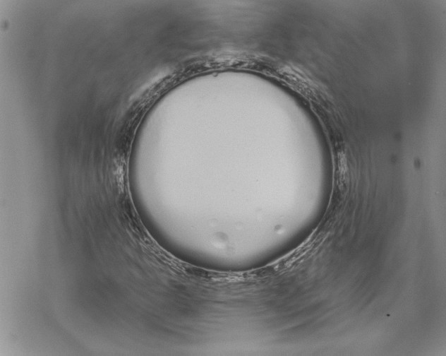 X0000069391302200606021622