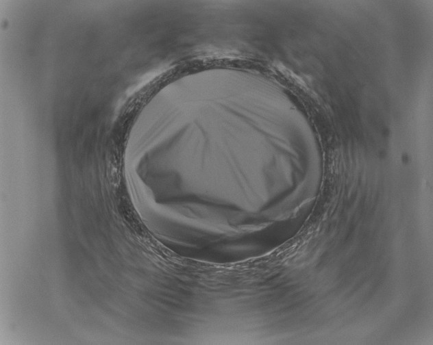 X0000069391303200606021622