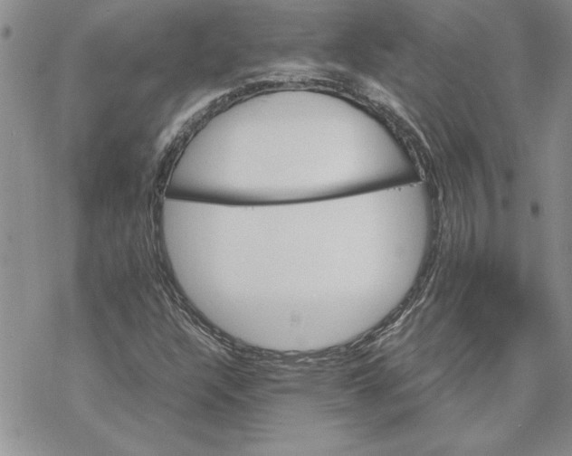 X0000069391304200606021622