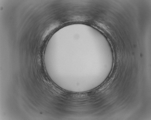 X0000069391307200606021622