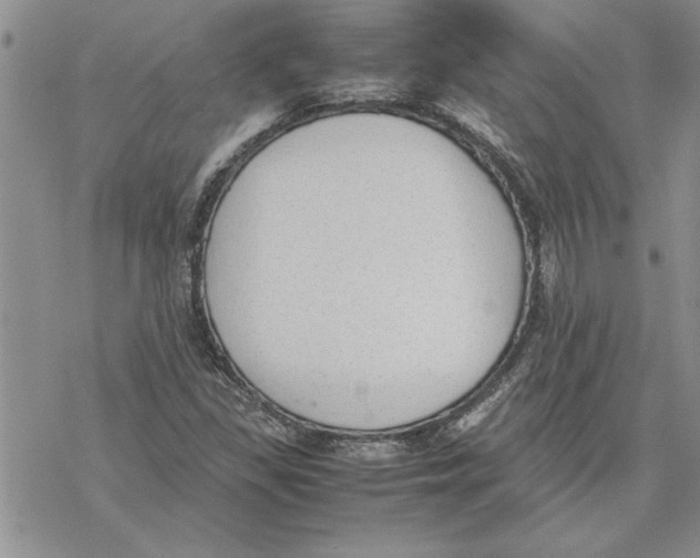 X0000069391309200606021622