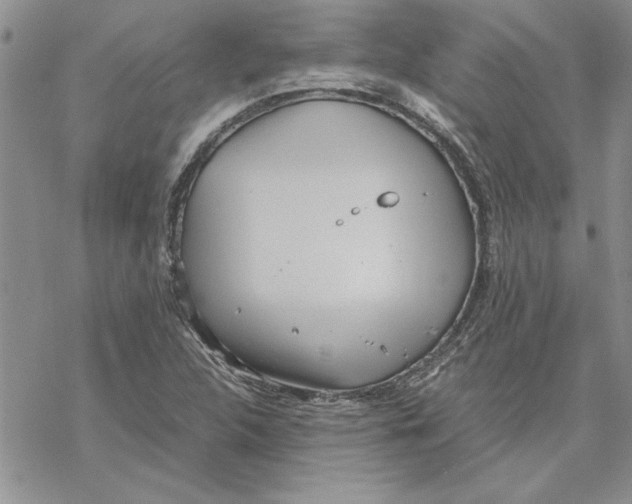 X0000069391312200606021622