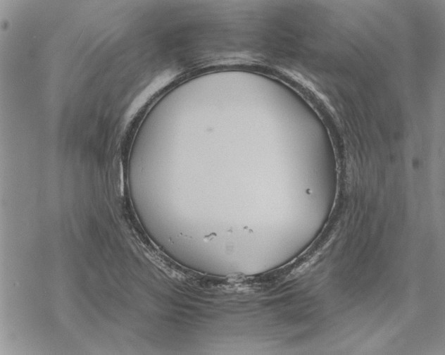 X0000069391317200606021622