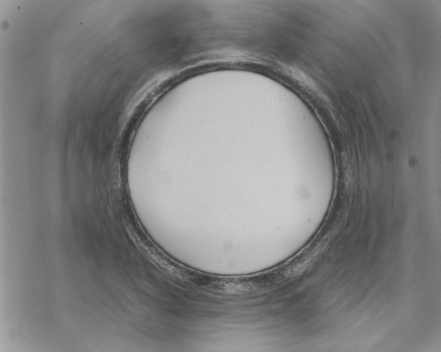 X0000069391318200606021622