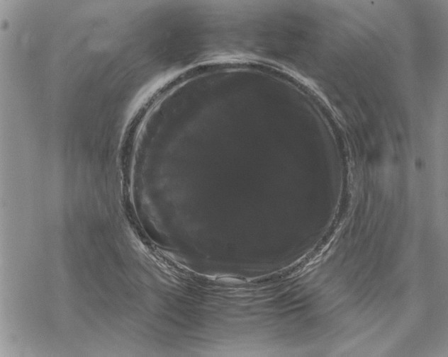 X0000069391319200606021622