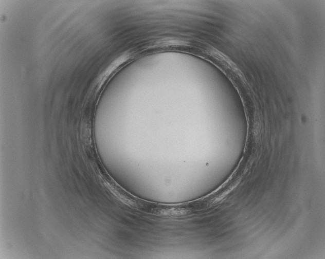 X0000069391321200606021622