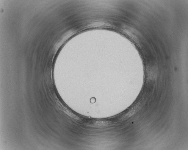 X0000069391322200606021622