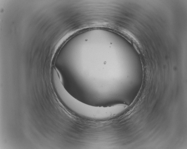 X0000069391324200606021622