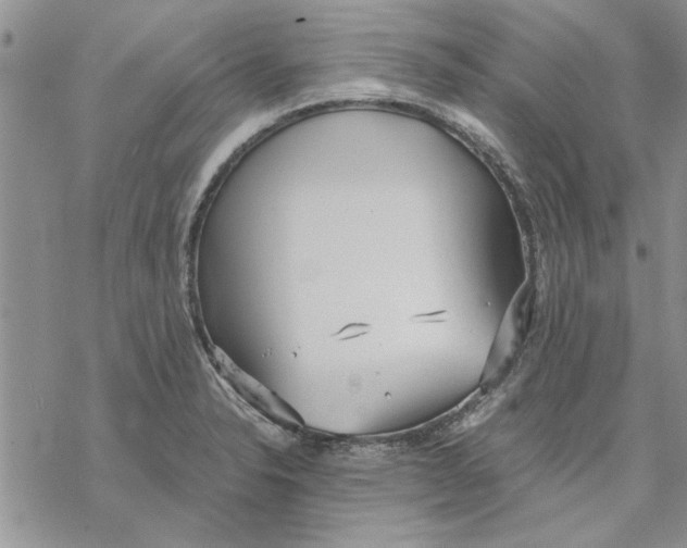 X0000069391326200606021622