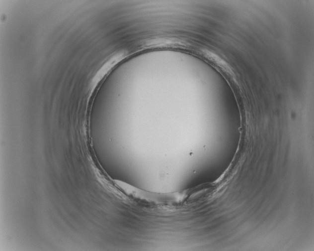 X0000069391330200606021622