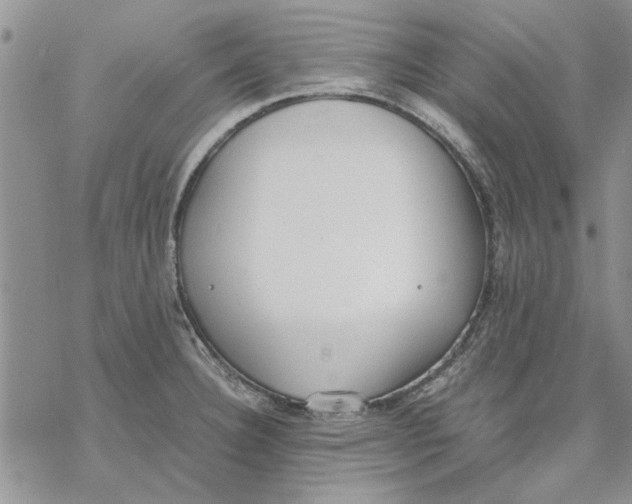 X0000069391332200606021622