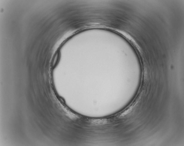 X0000069391333200606021622