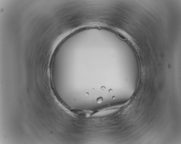 X0000069391335200606021622