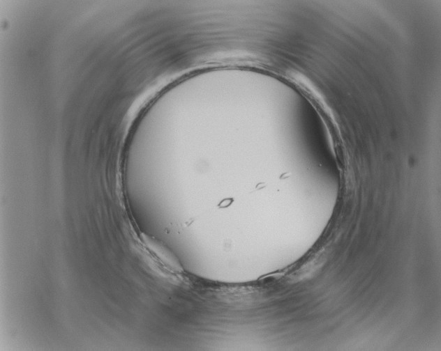 X0000069391336200606021622