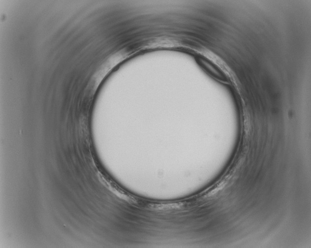 X0000069391337200606021622