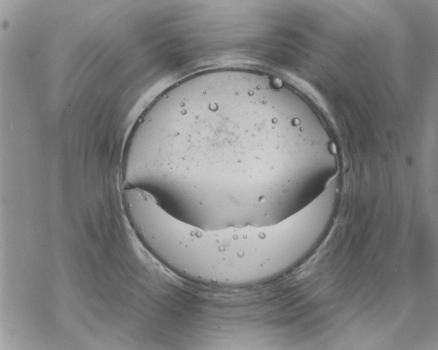 X0000069391338200606021622