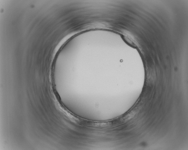 X0000069391339200606021622