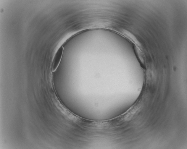 X0000069391340200606021622