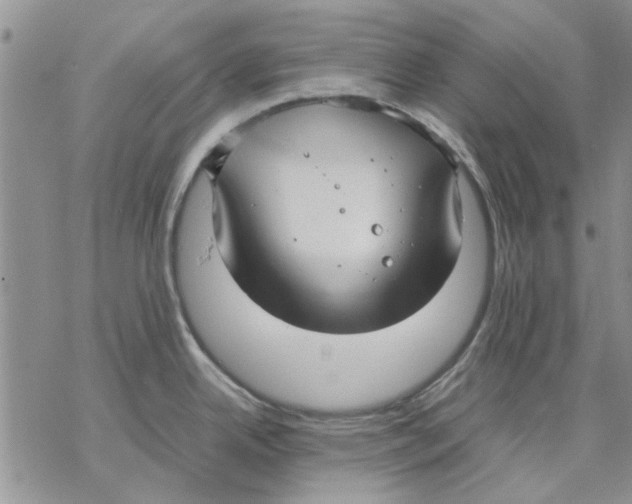 X0000069391342200606021622