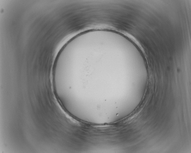 X0000069391343200606021622