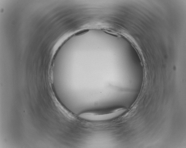 X0000069391344200606021622