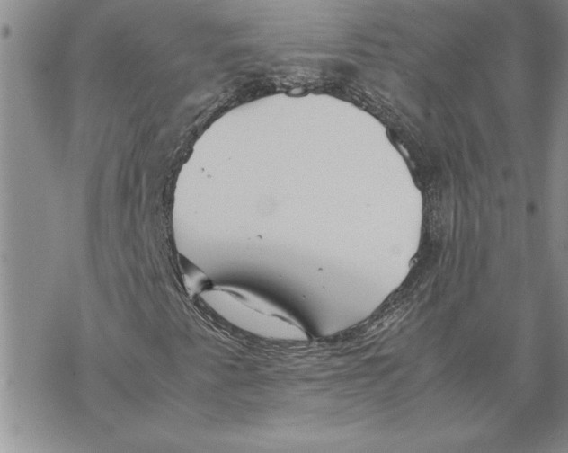 X0000069391345200606021621