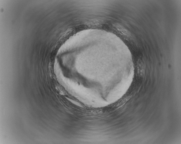 X0000069391346200606021621