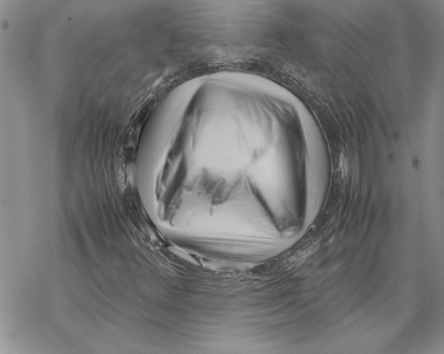 X0000069391348200606021621