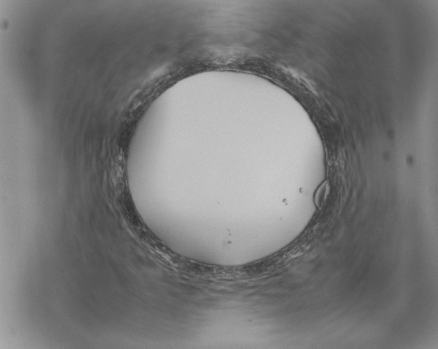 X0000069391349200606021621