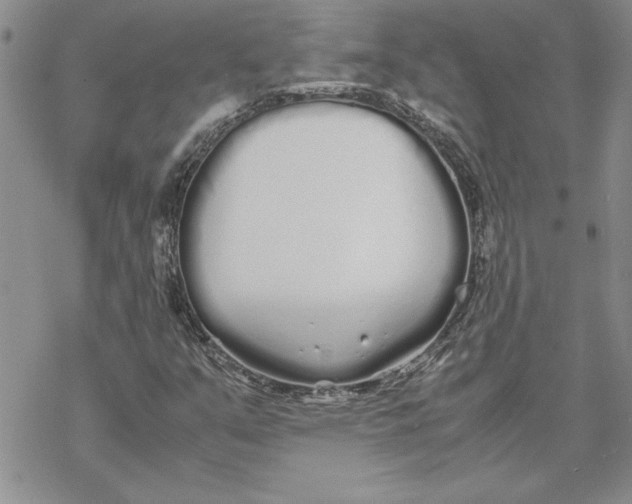 X0000069391351200606021621