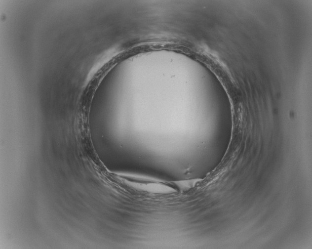 X0000069391352200606021621