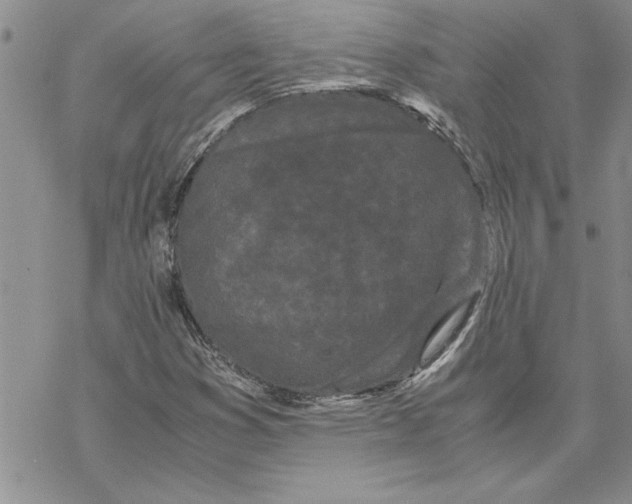 X0000069391353200606021621