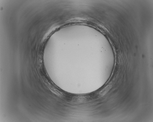 X0000069391355200606021621