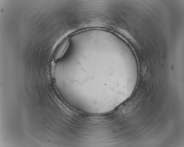 X0000069391356200606021621