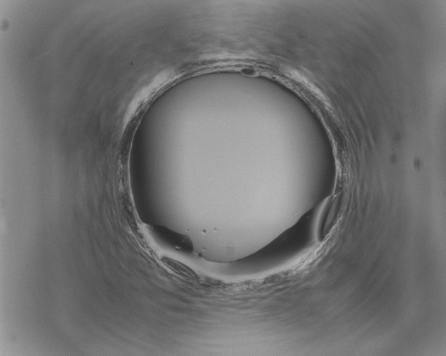 X0000069391357200606021621