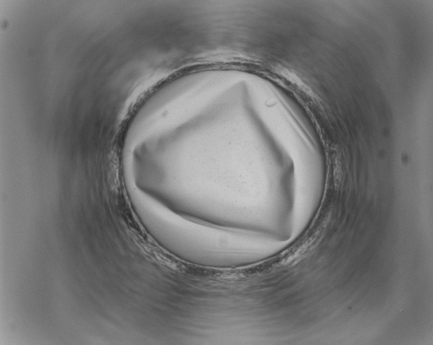 X0000069391358200606021621