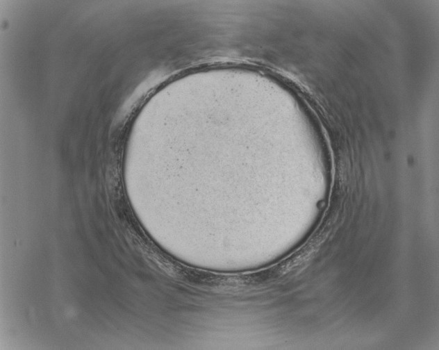 X0000069391359200606021621