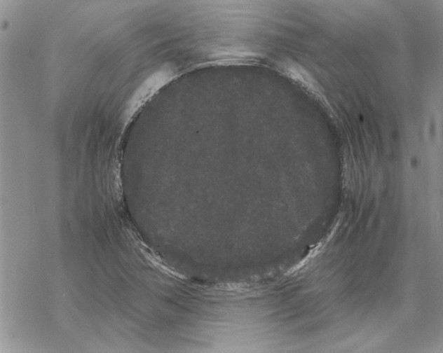 X0000069391362200606021621