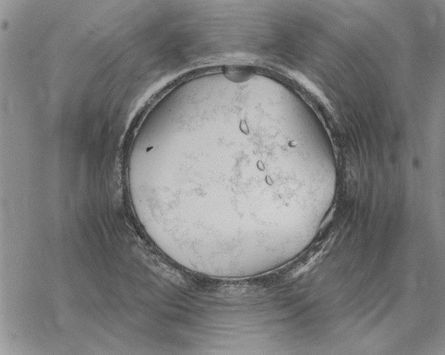 X0000069391364200606021621