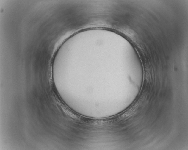 X0000069391366200606021621